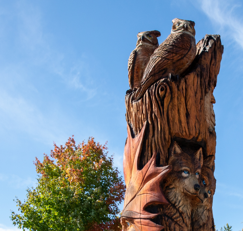 Tree sculpture of owls with blue sky in background